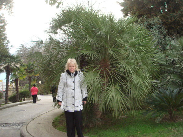 Галина Стельник