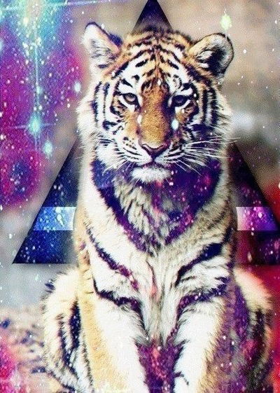 Анастасия Котова