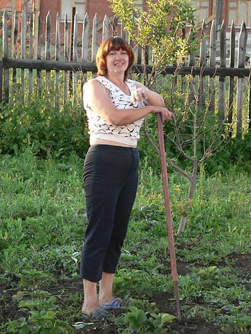 Светлана Шубина ( Грекова)