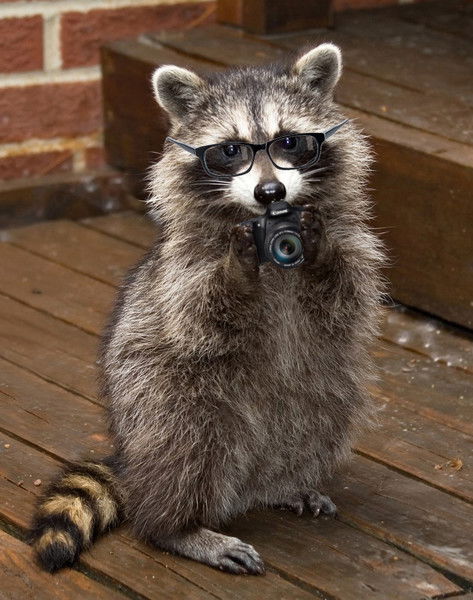 Андрей Поткин