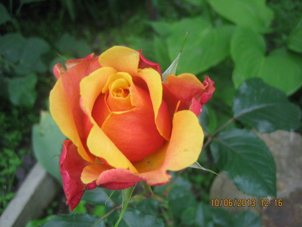 Вакий Татьяна