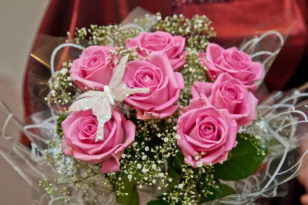 Елена Черемисина