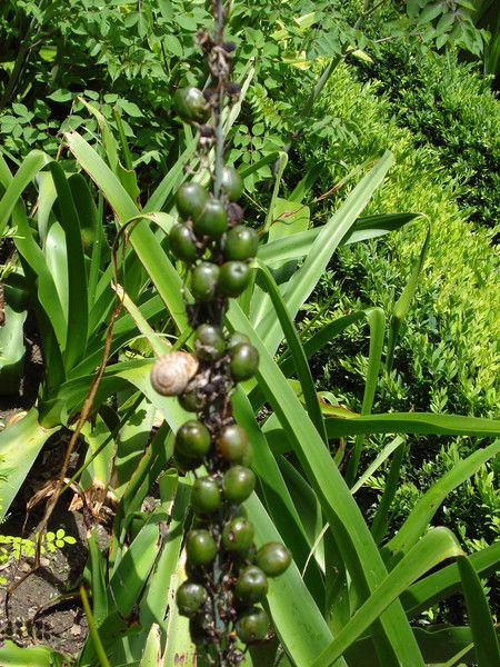 Марина Фоменко