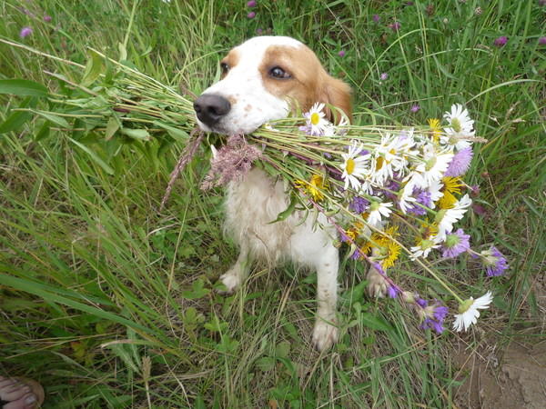 Александра Поенкова