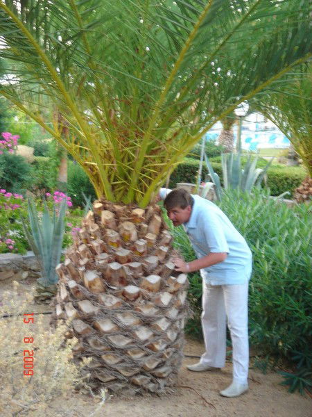 Сергей Фролов