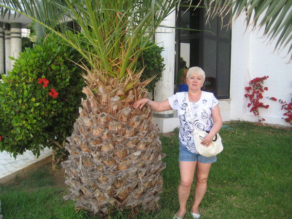 Татьяна Выборнова