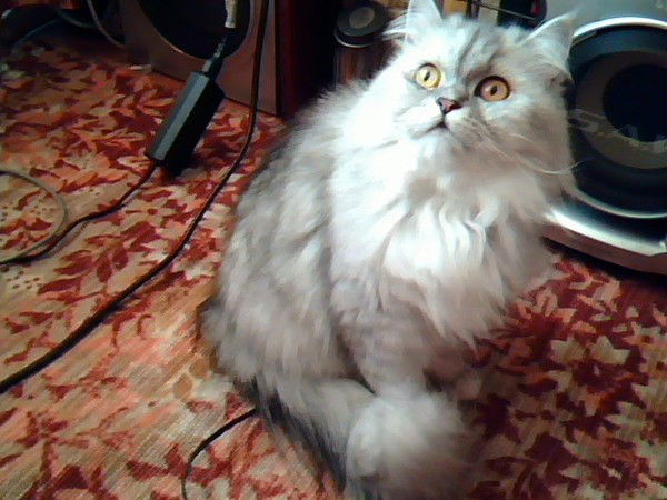 Юрий Умецкий