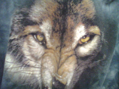 Дима Скоробогатов