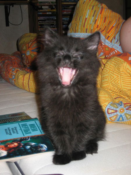 Сергей Прибоев