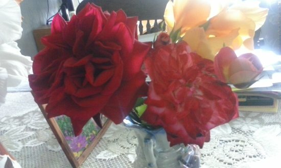 Людмила Шестакова