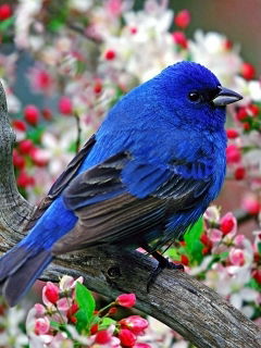 Андрей Кожевников