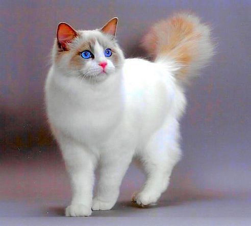 Зинаида Ершова(Фокина)