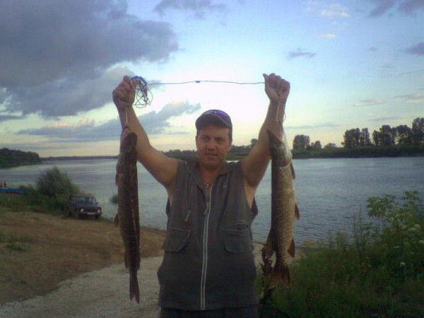 Сергей Причалов