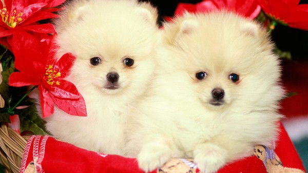 Наталии Афанасьева