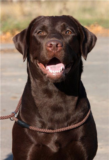 Наташа Ятманова