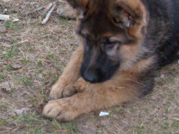 Ринат Сабитов