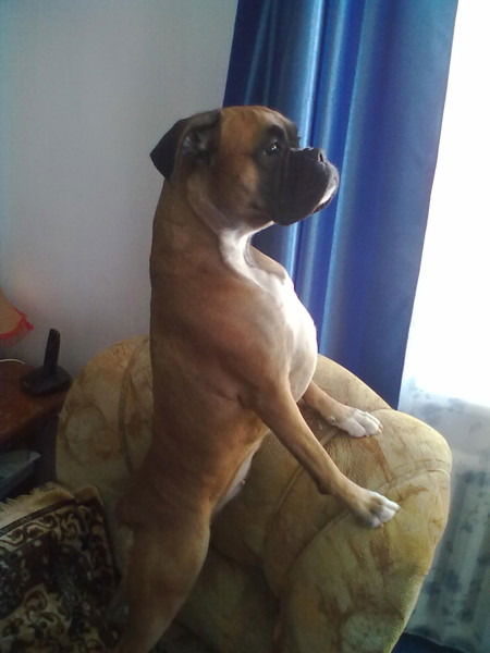 Салават Хайсаров