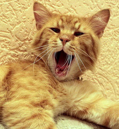 Виктор Милованов