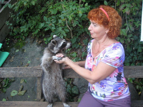 Людмила Селиванова