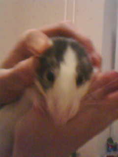 Маргарита Константинова