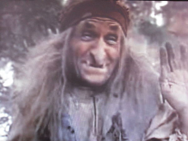 Куминское Лесничество