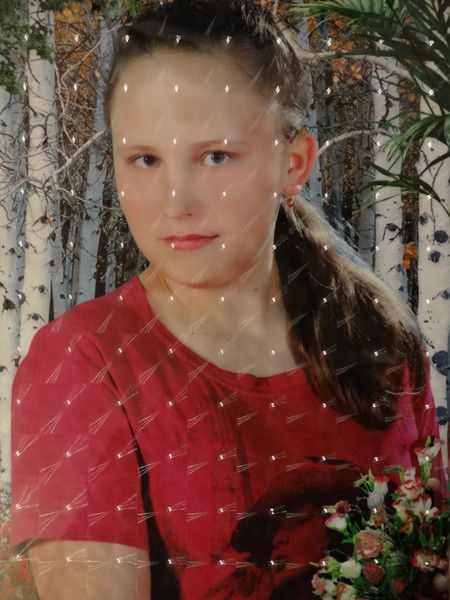 ???????????? ???????????????