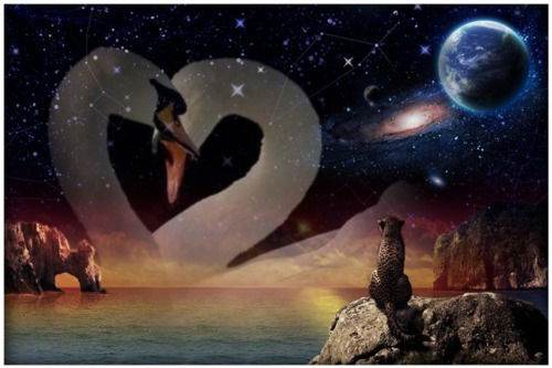 Дракон Дракон