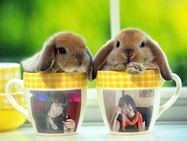 Наташечка Натуся