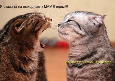 Эльвера Аминова