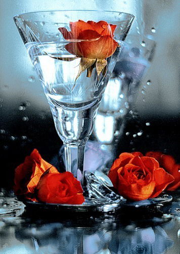 Ира Троицкая