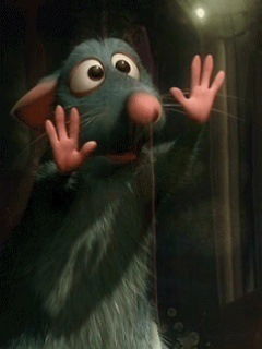 Евгения Донченко