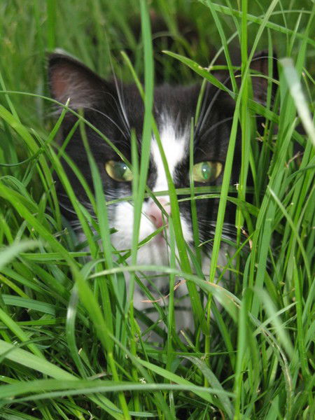 Светлана Тетенко