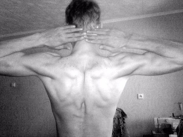 **белыи Волк** **