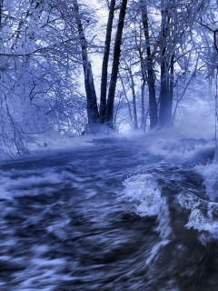 Наталья Семененко