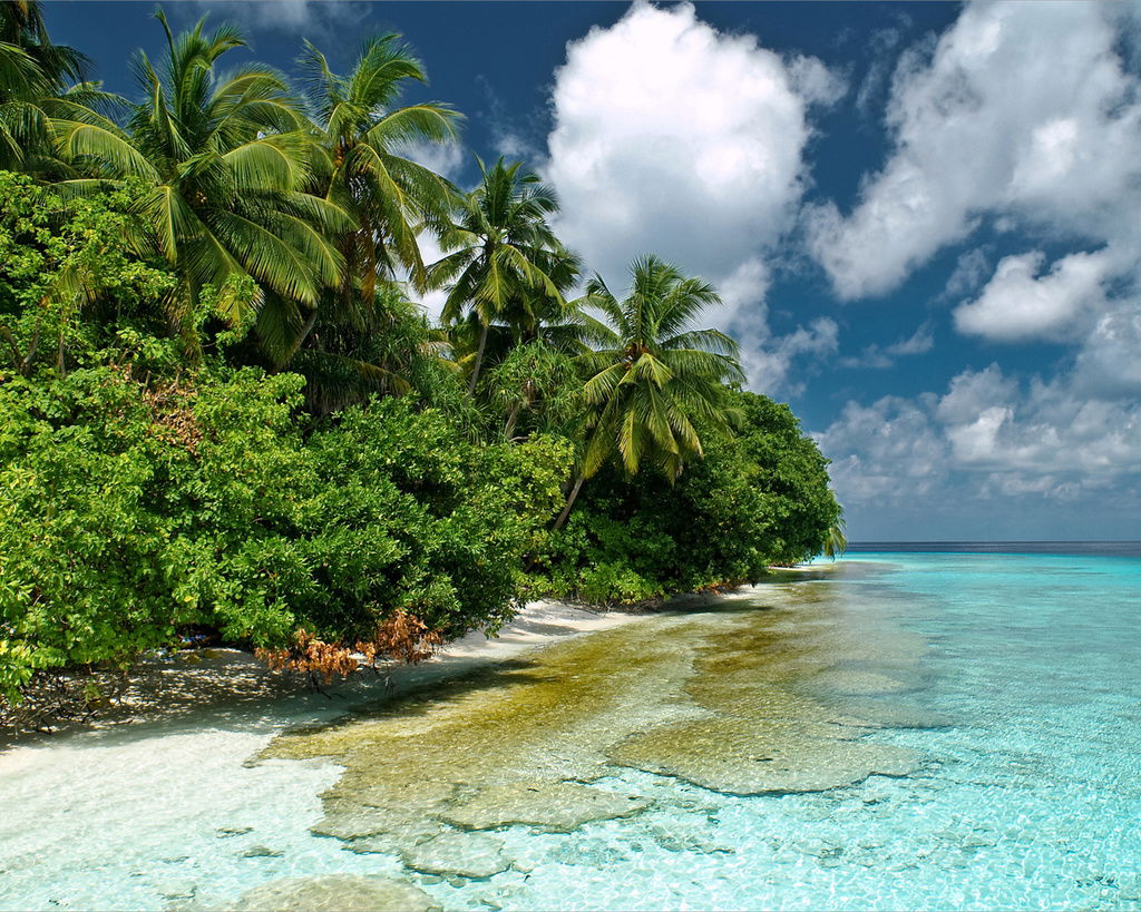 Наталья Богданова