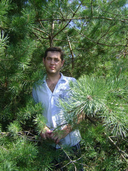 Володя Утицких