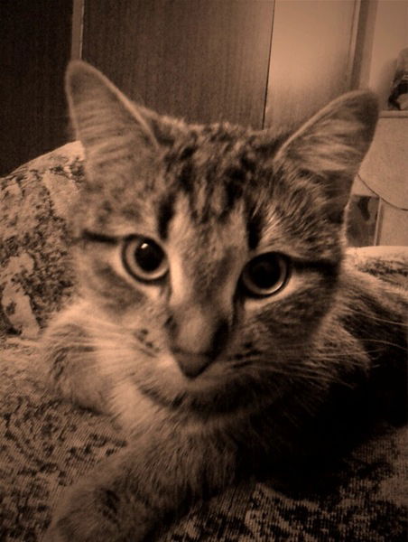 Алена Зайкина