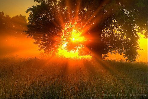 Городничева Света