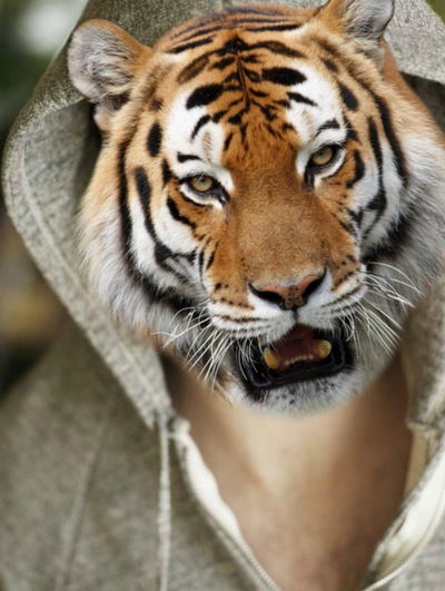 Иван Васильев