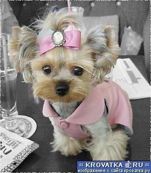 Нина Корсакина