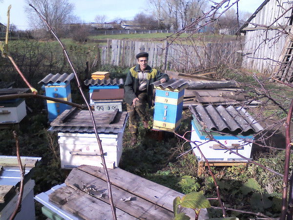 Александр Проненко