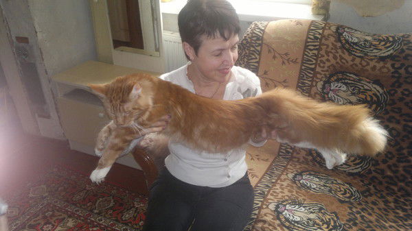 Лариса Идоленкова