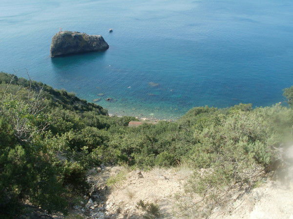 Александр Бальошенко