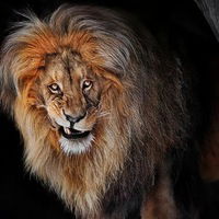 Данил Рыжаков