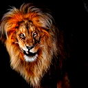 Данил Рыжаков