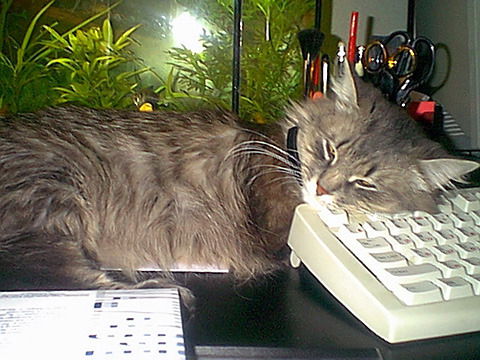 Любовь Лещенко