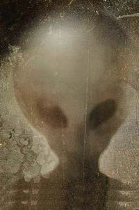 Дмитрий Давыдов