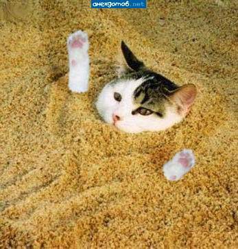 Евгений Бузулуцкий