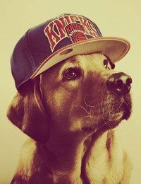 Анюта Семенникова