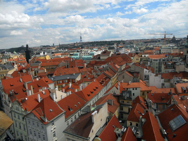 Анастасия Палагина